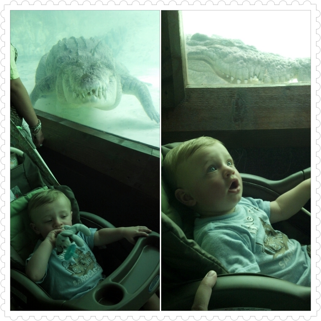 photoshake_1346262990310